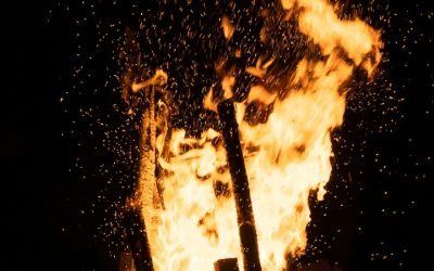 Passing the Torch: An Apology for Classical Christian Education