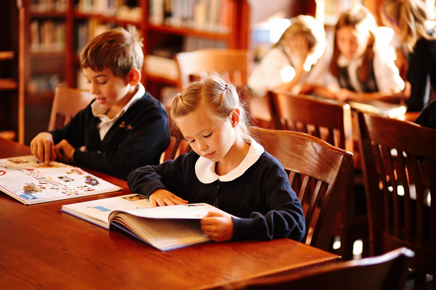 Student reads book in Library of The Ambrose School